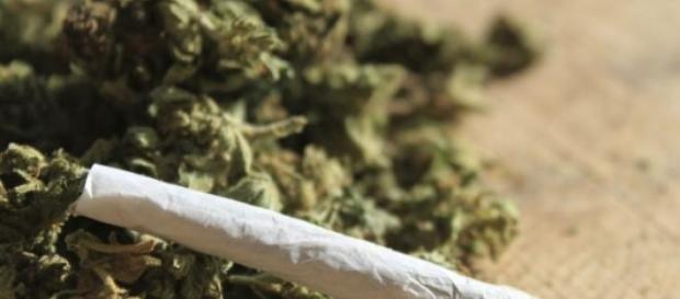 La Marijuana dans la médicine? La Marijuana dans la médicine?