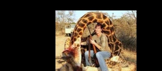 Ivy Swanepoel und die tote Giraffe. Ivy Swanepoel und die tote Giraffe.