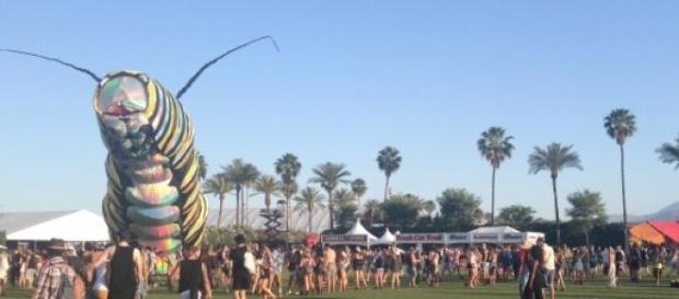 A giant caterpillar moves around this year. A giant caterpillar moves around this year.