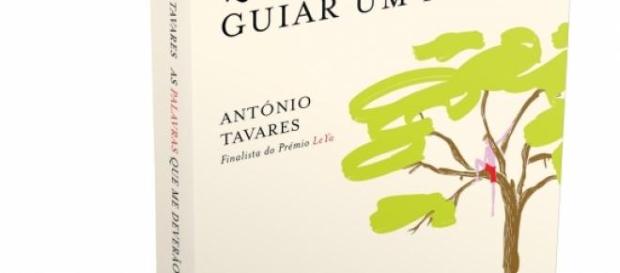 Capa do romance de António Tavares. Capa do romance de António Tavares.