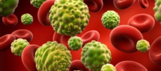 Microchip permite detectar células cancerígenas Microchip permite detectar células cancerígenas