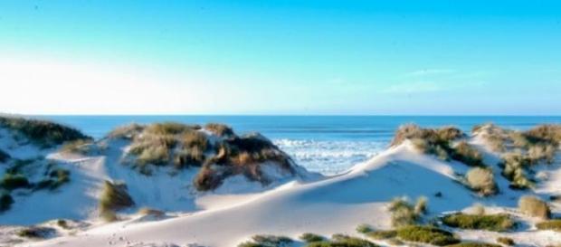 Osso da Baleia é praia Dourada desde 1998 Osso da Baleia é praia Dourada desde 1998