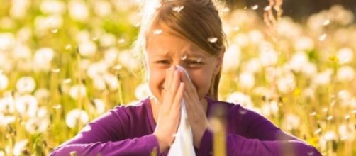La primavera porta allergie a graminacee e polline