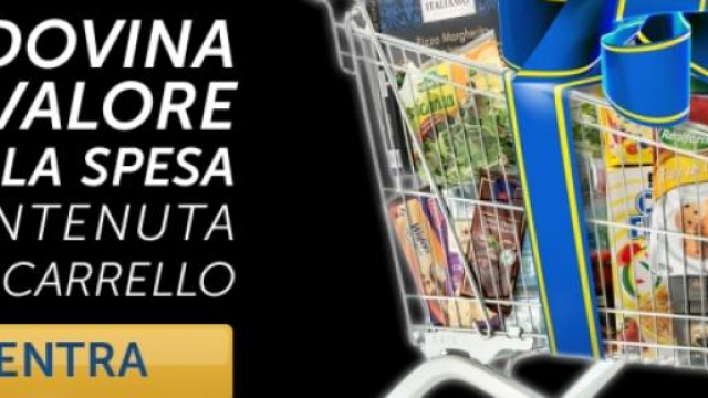 Concorsi alla LIDL, Discount MD e LD 2015