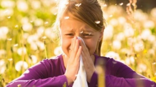 La primavera porta allergie a graminacee e polline