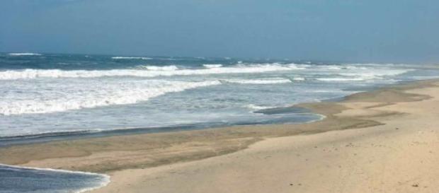 Dunas de Ofir são local de alegada prostituição Dunas de Ofir são local de alegada prostituição