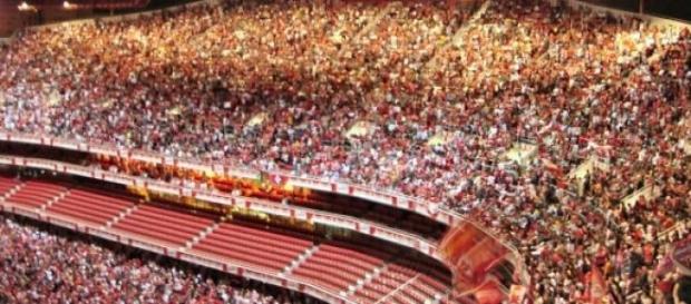 Imagem vais vista no Estádio da Luz esta época Imagem vais vista no Estádio da Luz esta época