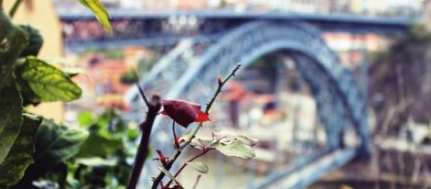 O Porto, uma cidade turística O Porto, uma cidade turística