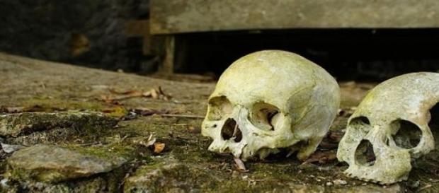 Unsere Vorfahren waren Kannibalen. Unsere Vorfahren waren Kannibalen.