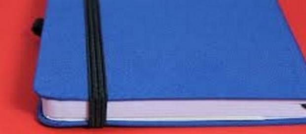 Agenda scolaire ou professionnel Agenda scolaire ou professionnel