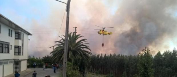 Fogo reativou nova frente em Albergaria-a-Velha Fogo reativou nova frente em Albergaria-a-Velha