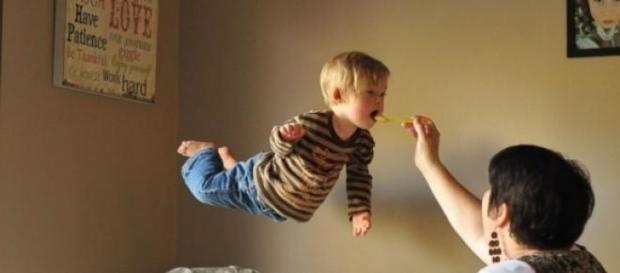 Will emprende el vuelo, su madre le da de comer Will emprende el vuelo, su madre le da de comer