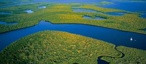 Les Everglades sont un environnement fragile. Les Everglades sont un environnement fragile.