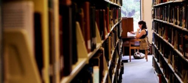 'Library Hotel' é ideal para amantes de livros. 'Library Hotel' é ideal para amantes de livros.