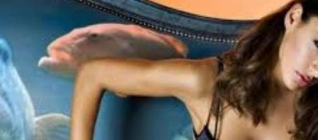 Melita Toniolo fa impazzire il web Melita Toniolo fa impazzire il web