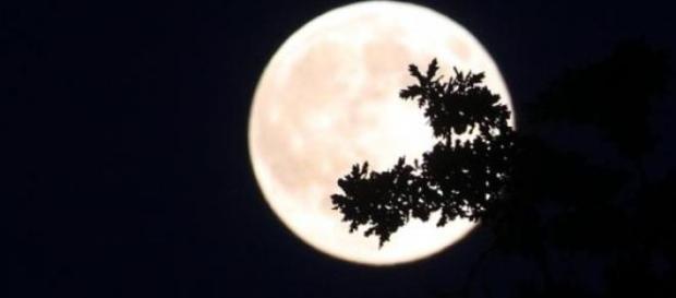 Întunericul are lumina lui. Luna este lumină. Întunericul are lumina lui. Luna este lumină.