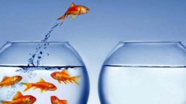 Scioglimento della riserva GM del concorso 2012