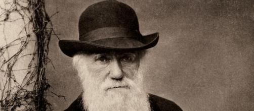 Charles Darwin, author of The Descent of Man