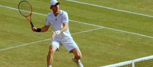 Murray will hope for Davis Cup success on grass