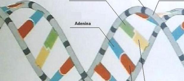 DNA: Zukunft der Medizin DNA: Zukunft der Medizin
