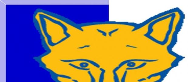 Foxes win again to lift them out of bottom three Foxes win again to lift them out of bottom three