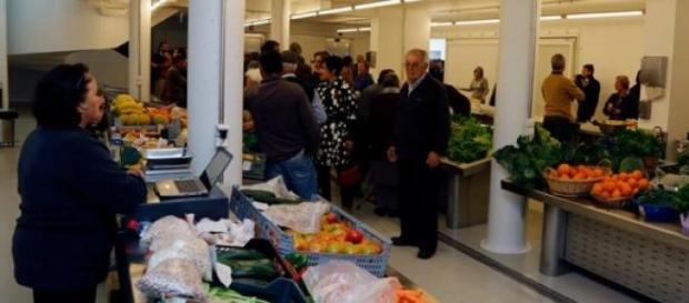 Novo mercado de Abrantes (Foto CMA) Novo mercado de Abrantes (Foto CMA)