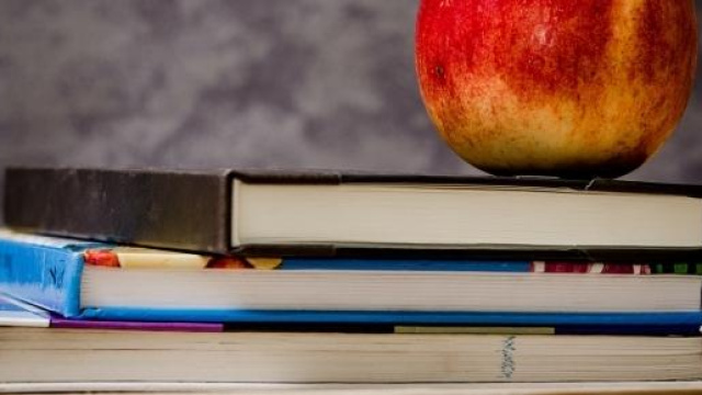 Sciopero contro la Buona Scuola