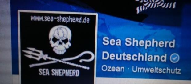 Sea Shepherd sucht Freiwillige Sea Shepherd sucht Freiwillige