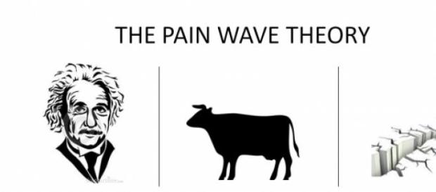 Animal slaughter and earthquakes. Animal slaughter and earthquakes.