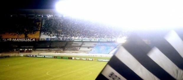 Botafogo X Capivariano: um teste para o elenco Botafogo X Capivariano: um teste para o elenco