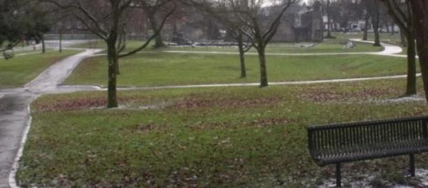 In einem Park geschieht das Unfassbare In einem Park geschieht das Unfassbare