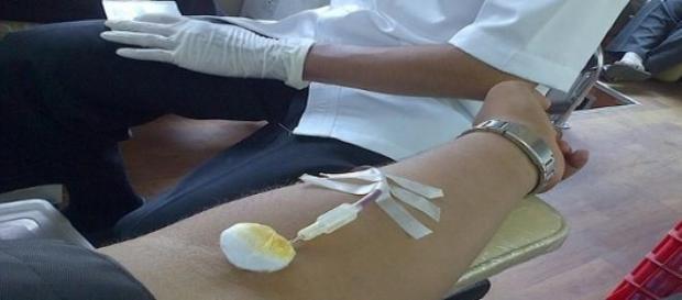 una persona donando sangre una persona donando sangre
