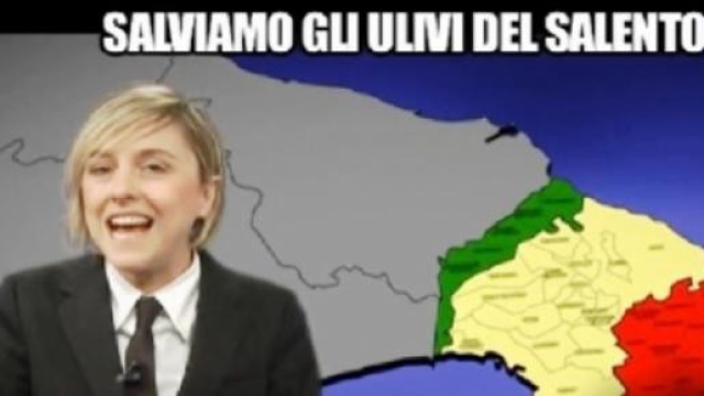 Salviamo gli ulivi del Salento