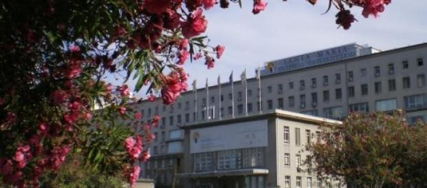 Hospital de Santa Maria, em Lisboa. Hospital de Santa Maria, em Lisboa.
