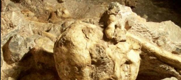 Es el más antiguo homínido de acuerdo a la ciencia Es el más antiguo homínido de acuerdo a la ciencia