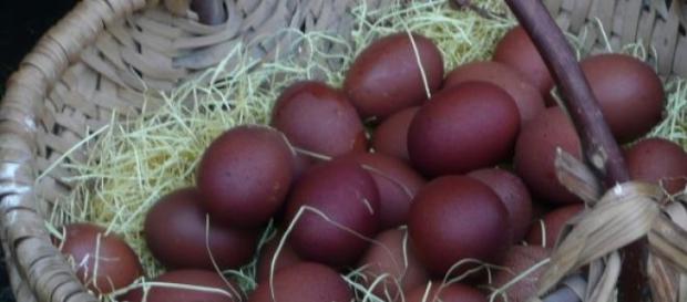 Oeufs roux de poules de Marans Oeufs roux de poules de Marans