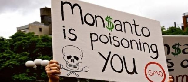 Protestos contra a Monsanto se espalham pelo mundo Protestos contra a Monsanto se espalham pelo mundo