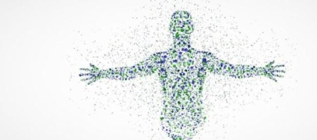 Seu DNA é capaz de rastrear seus ancestrais Seu DNA é capaz de rastrear seus ancestrais