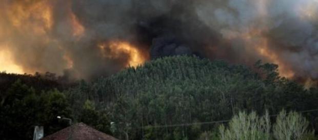 Incêndio em Albergaria-a-Velha Incêndio em Albergaria-a-Velha