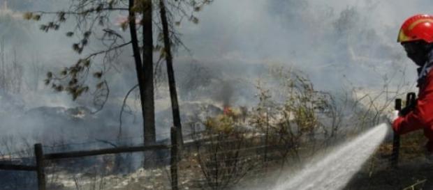 Já se registaram 36 incêndios Já se registaram 36 incêndios
