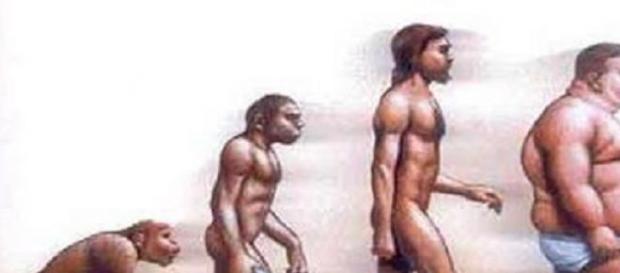 Obesidade - uma evolução contínua Obesidade - uma evolução contínua