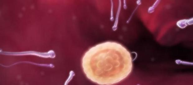 Até os netos podem ser atingidos pelos traumas Até os netos podem ser atingidos pelos traumas