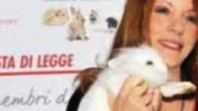 Brambilla: "No ai conigli nei piatti"