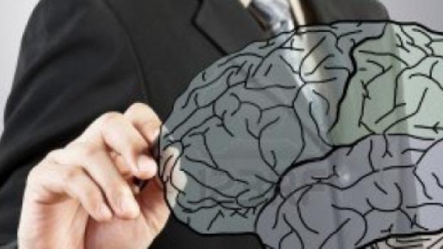 Imparare l'arte del disegno modifica il cervello