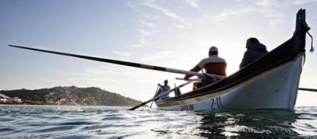 Pescadores tomam medidas para gerir quotas Pescadores tomam medidas para gerir quotas