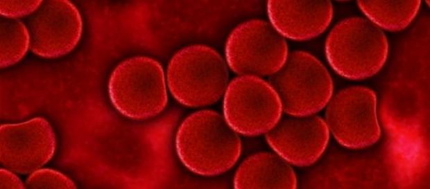 Blood donation is an important issue. Blood donation is an important issue.