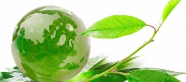 Préserver la Terre, un engagement éco-citoyen. Préserver la Terre, un engagement éco-citoyen.
