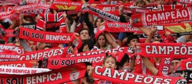 Encarnados dominam cinco modalidades. Encarnados dominam cinco modalidades.