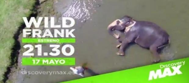 Estreno de 'Wild Frank' en Discovery Max Estreno de 'Wild Frank' en Discovery Max