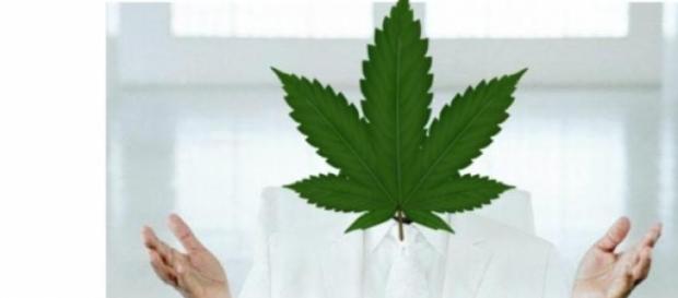 El famoso actor aceptó que consume marihuana El famoso actor aceptó que consume marihuana